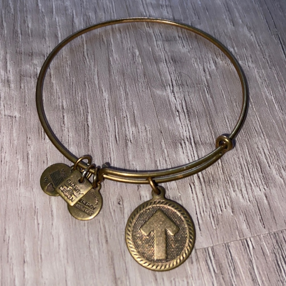 Ani & Ani Stand Up to Cancer bangle